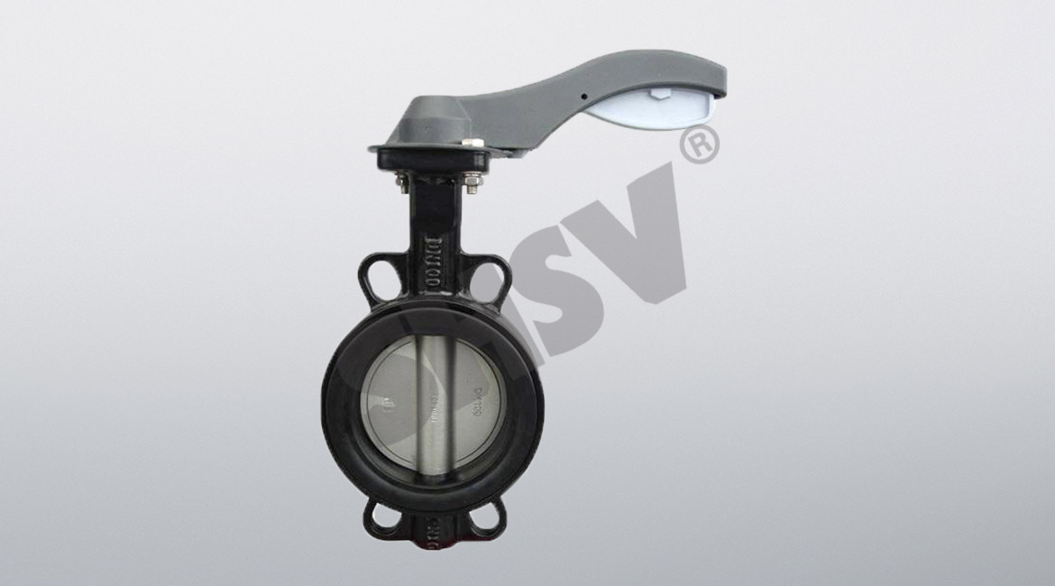 ����Ó����y